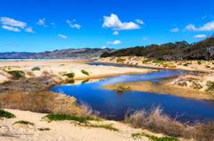 Pismo Beach-3086.jpg Pismo Beach-3086.jpg